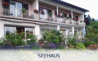 Galerie Seehaus
